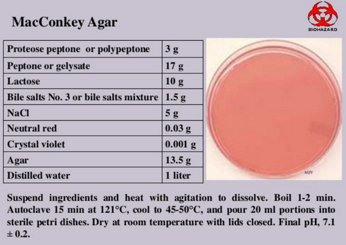 components of MacConkey agar