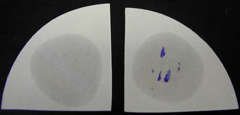 oxidase test wet filter paper method
