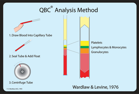  qbc qualitative buffy coat procedure