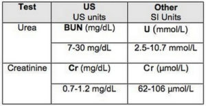 standard unit of measurements for BUN and creatinine