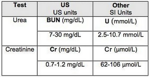  standard unit of measurements for BUN and creatinine