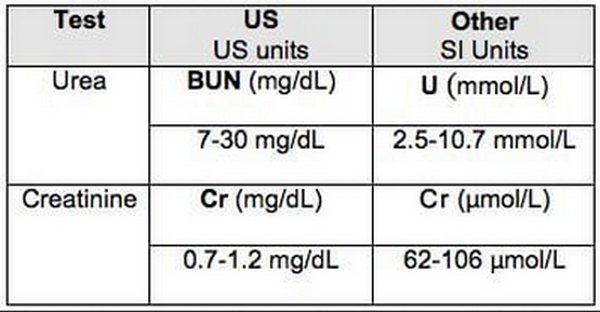 Lab Tests Infostandard Unit Of Measurements For BUN And Creatinine ...